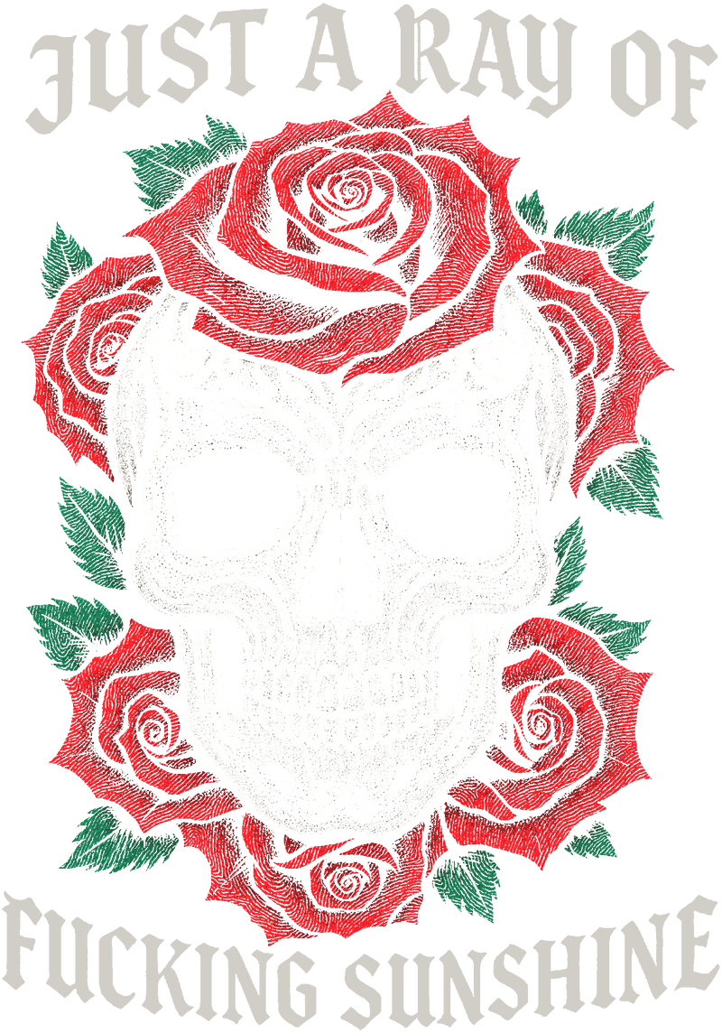 Just A Ray Of Fucking Sunshine - DTF Transfer