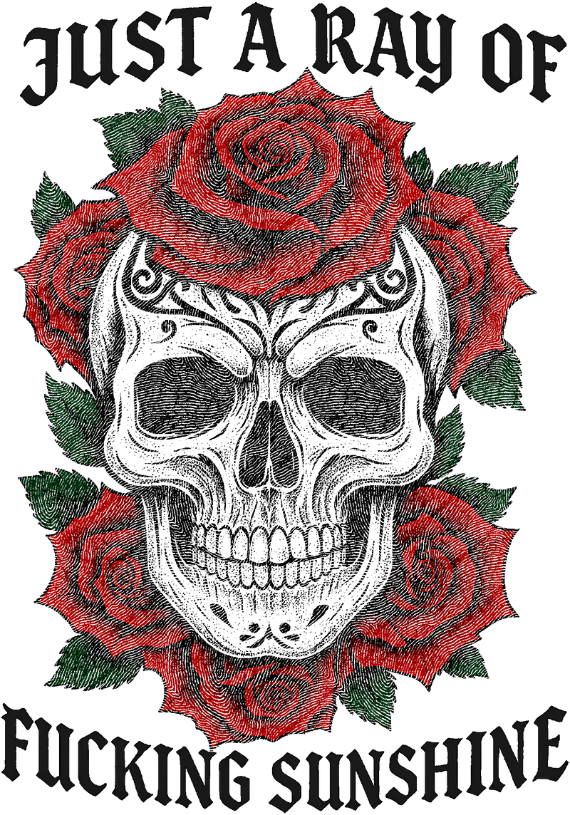 Just A Ray Of Fucking Sunshine - DTF Transfer