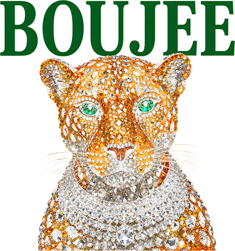 Boujee Leopard - DTF Transfer