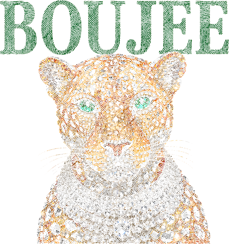 Boujee Leopard - DTF Transfer