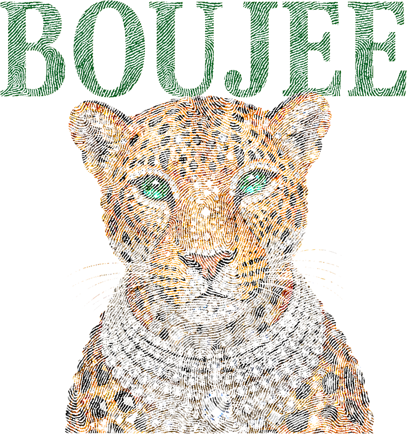 Boujee Leopard - DTF Transfer