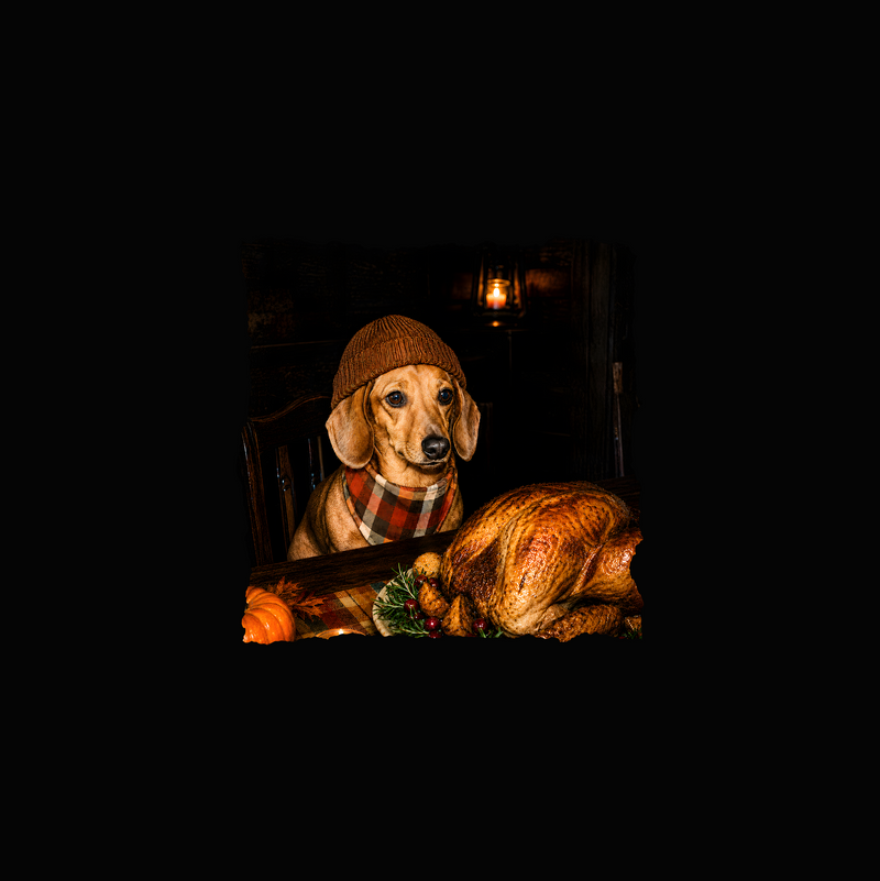 Cozy Doxie & Roasted Turkey DTF Transfer