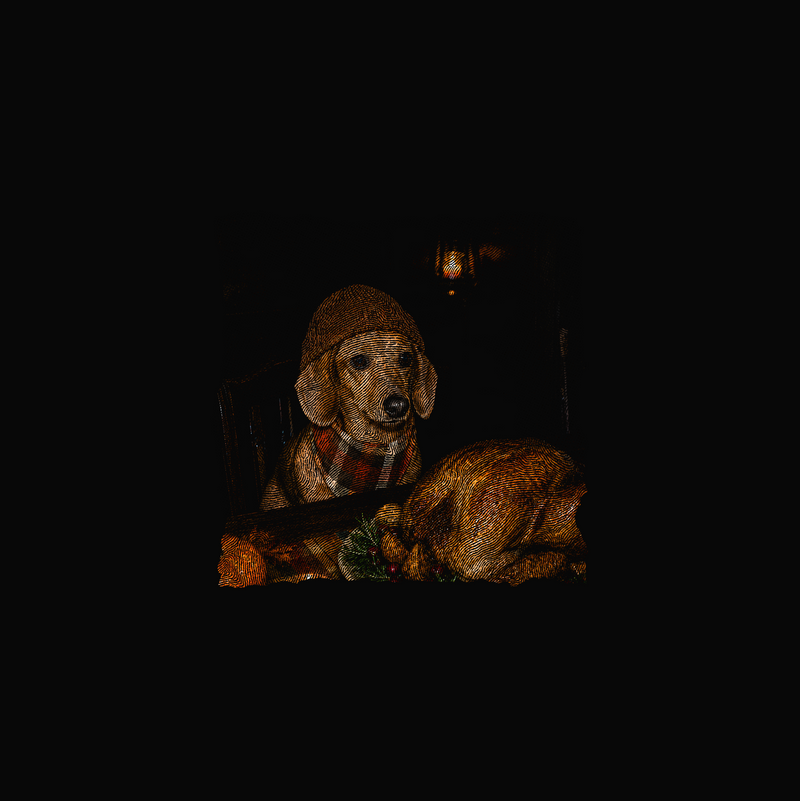 Cozy Doxie & Roasted Turkey DTF Transfer
