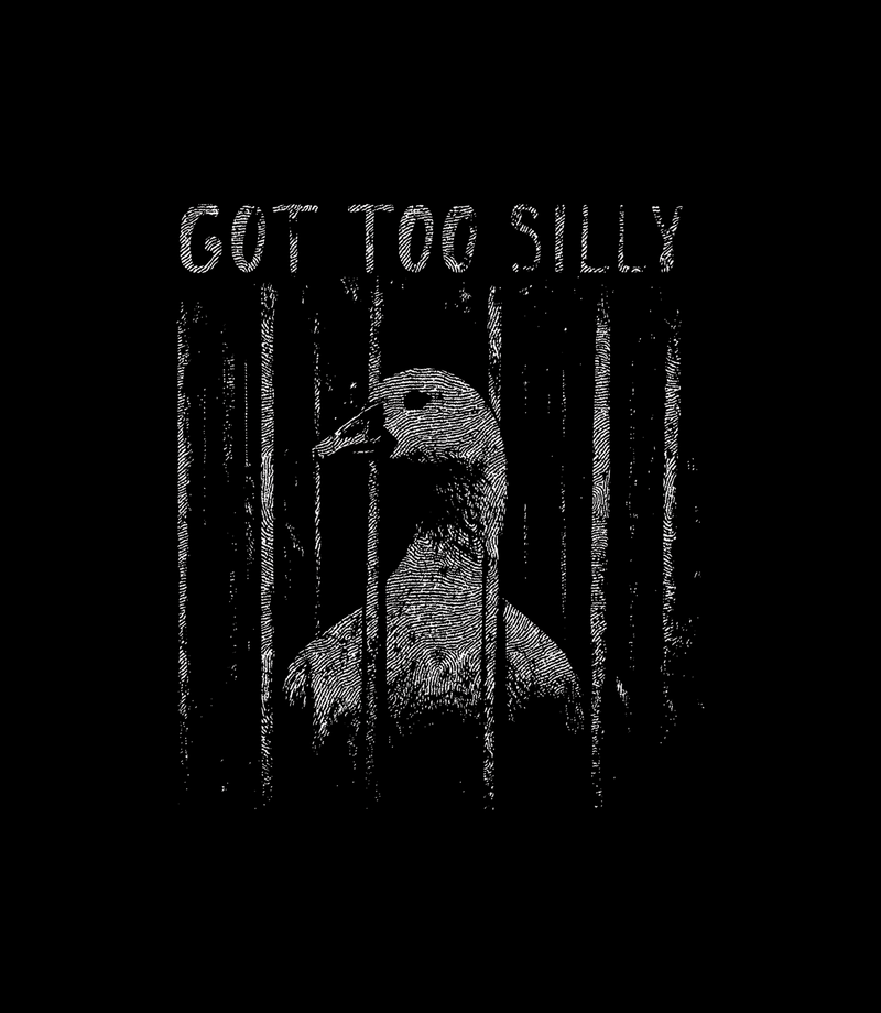Silly Goose Jail - DTF Transfer