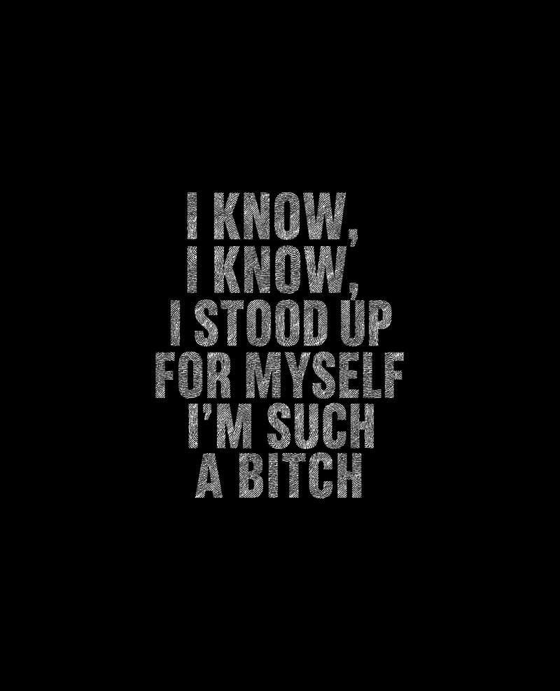 I Stood Up For Myself Sarcastic Typography - DTF Transfer