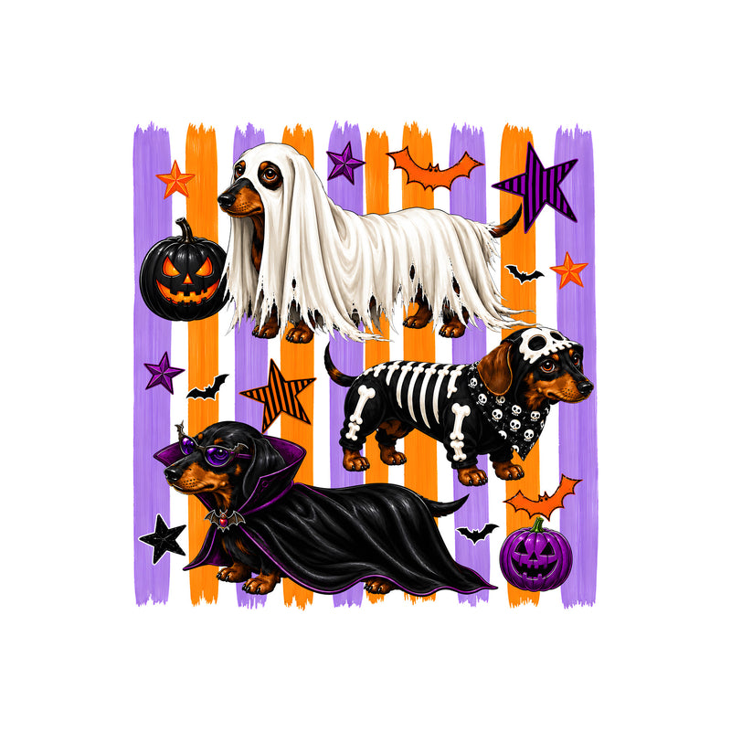 Dachshund Spooky Costumes, Orange & Purple Striped - DTF Transfer