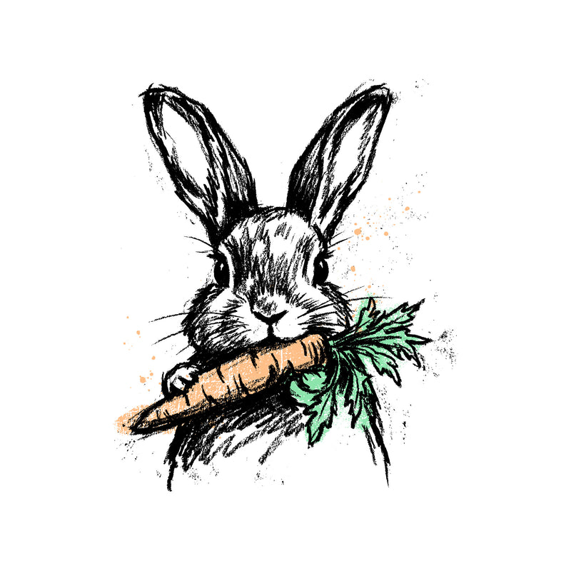 Vintage Line Art Bunny Sketch - DTF Transfer