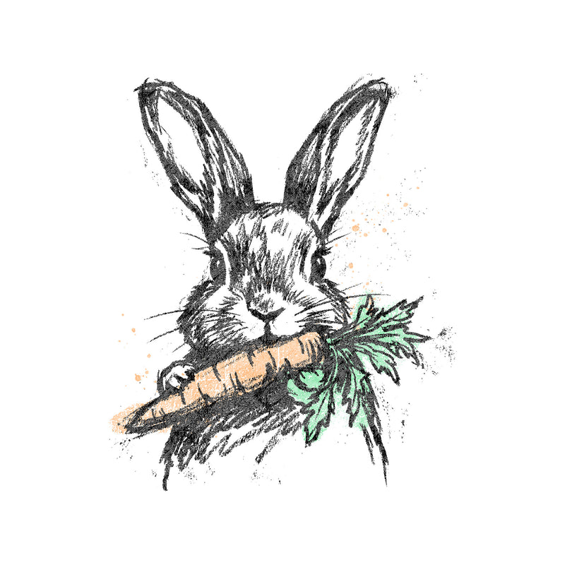 Vintage Line Art Bunny Sketch - DTF Transfer