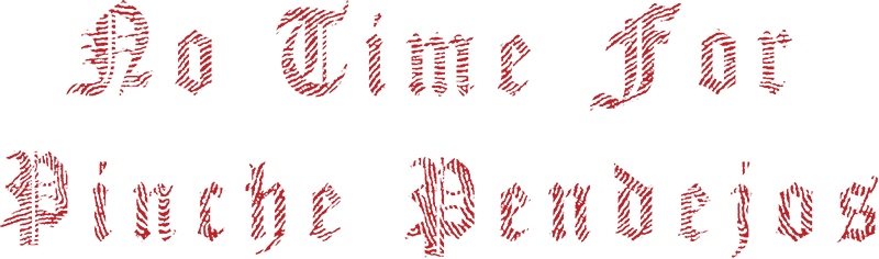 No Time For Pinche Pendejos - DTF Transfer