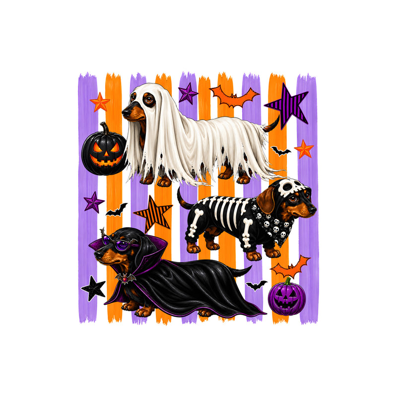 Dachshund Spooky Costumes, Orange & Purple Striped - DTF Transfer