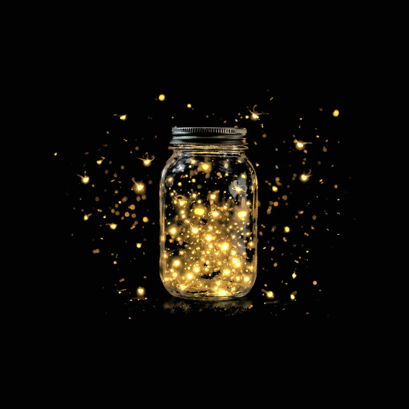 Summer Night Firefly Mason Jar - DTF Transfer