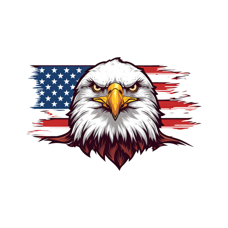 Distressed Flag & Fierce Eagle - DTF Transfer