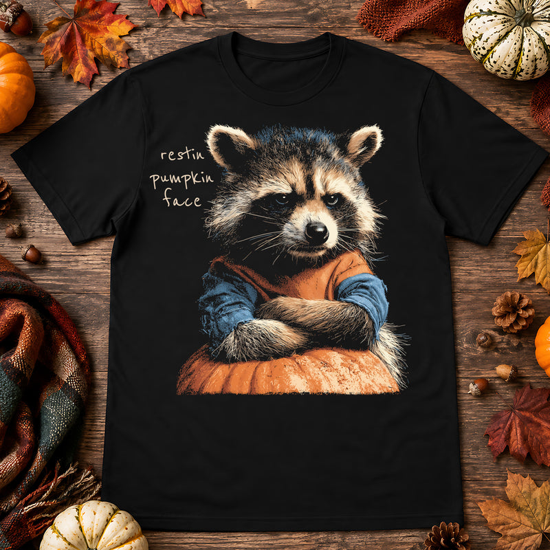 Restin' Pumpkin Face Trash Panda - DTF Transfer