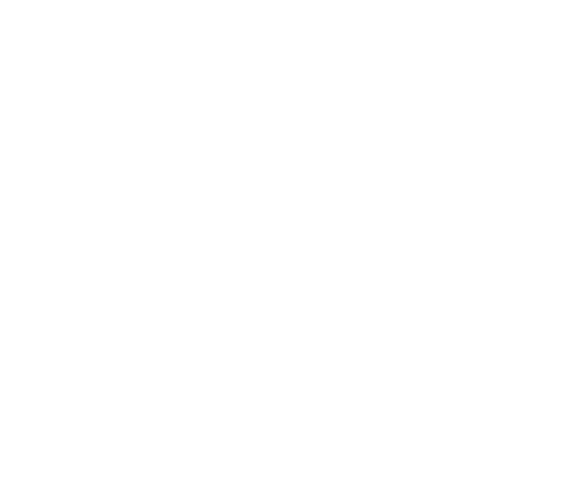 Locked & Spotted Leopard Pistol - DTF Transfer