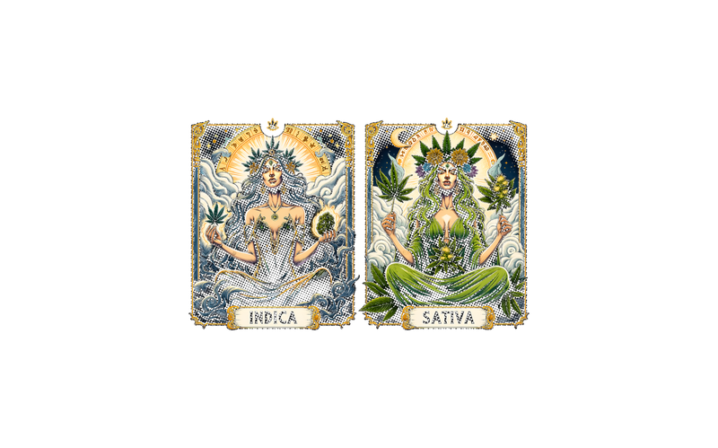 Indica & Sativa Goddess Tarot Cards - DTF Transfer