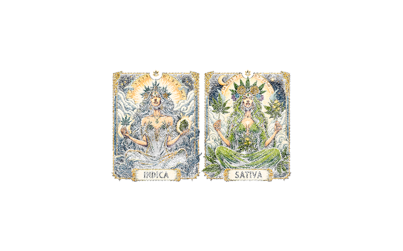 Indica & Sativa Goddess Tarot Cards - DTF Transfer