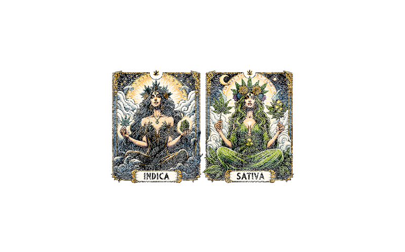 Indica & Sativa Goddess Tarot Cards - DTF Transfer