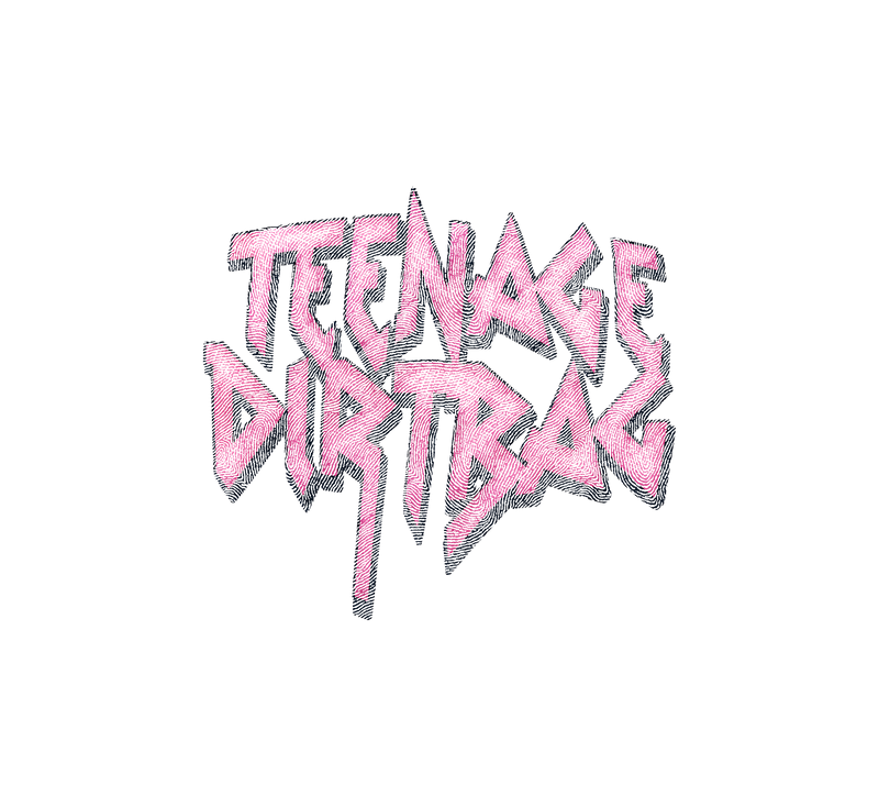 Teenage Dirtbag - DTF Transfer