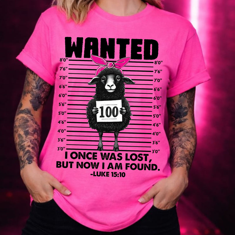 Lost Lamb- DTF Transfer