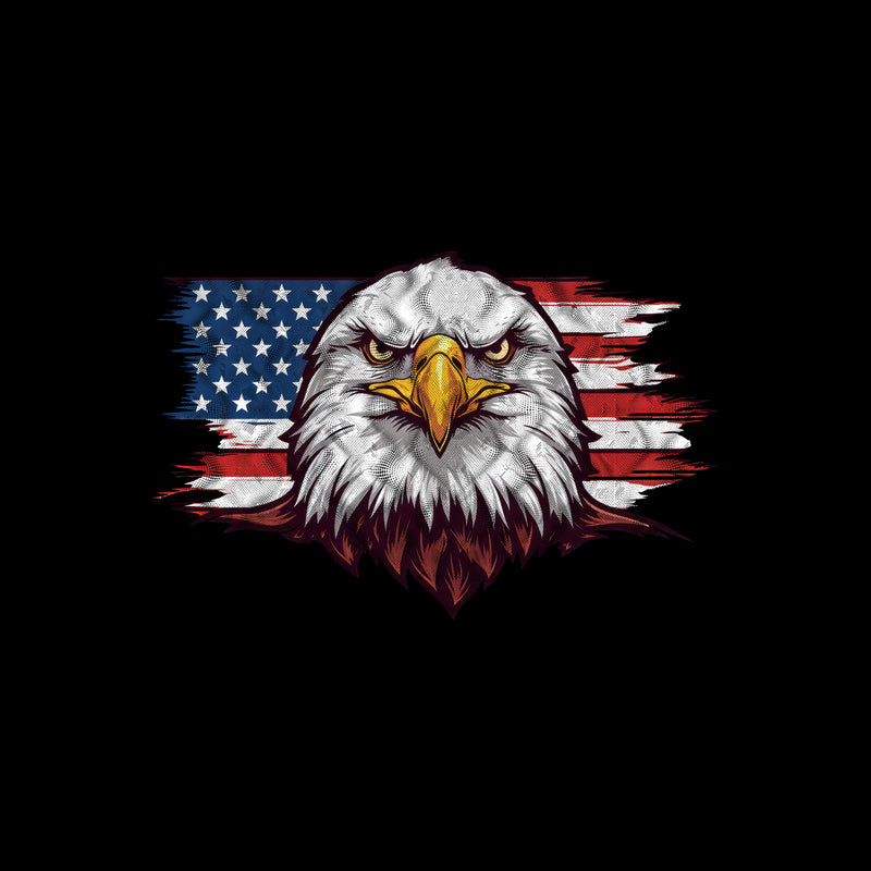 Distressed Flag & Fierce Eagle - DTF Transfer